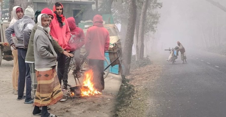 পৌষের শেষে হাড় কাঁপানো শীতে বিপর্যস্ত চুয়াডাঙ্গার জনজীবন 
